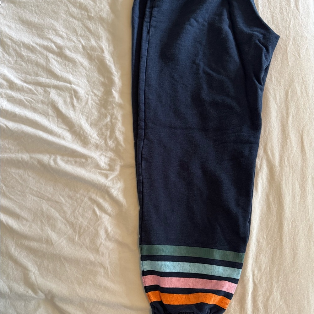Addison Bay Navy sweatpants